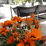Bed & Breakfast Palomba 3*
