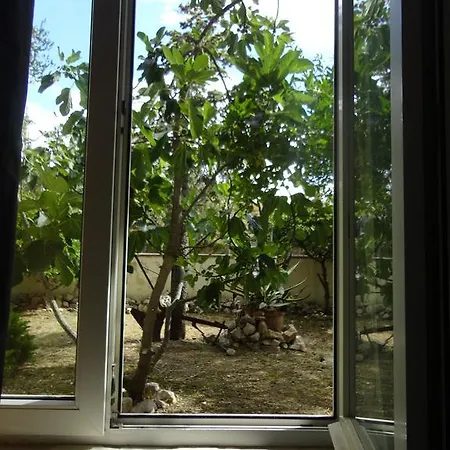 Palomba לינה וארוחת בוקר מטרה