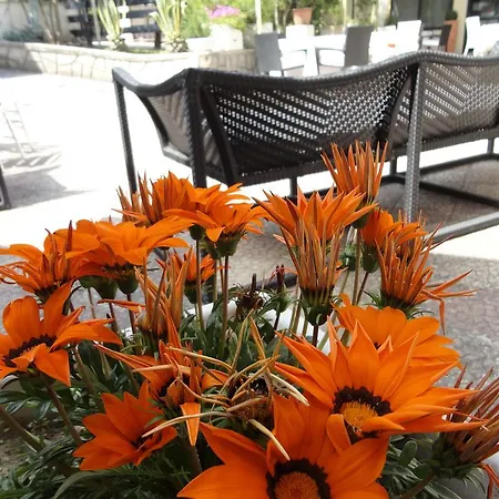 B&B Palomba 2*