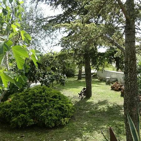B&B Palomba