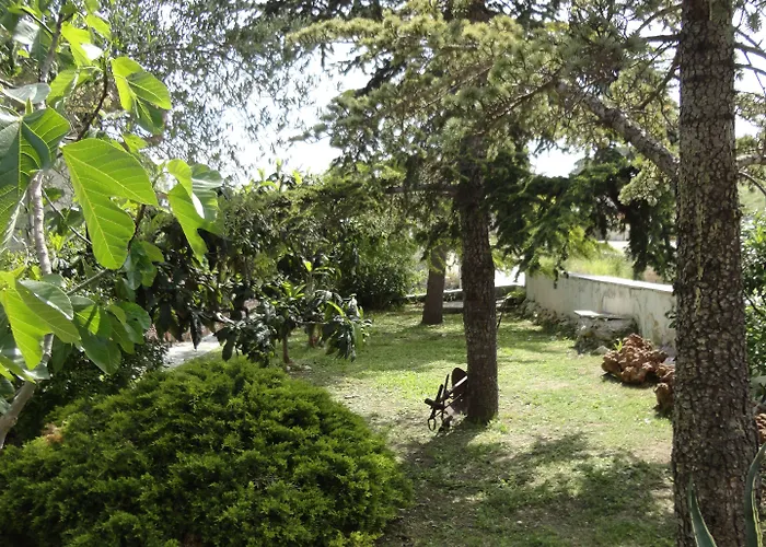 Palomba Nocleg ze śniadaniem