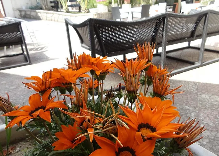 Bed & Breakfast Palomba 3*